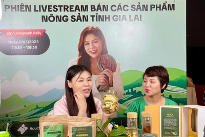 Sở Công thương Gia Lai phối hợp với Hiệp hội thương mại điện tử Việt Nam khu vực miền Trung-Tây Nguyên, TikTok Shop tổ chức các Phiên livestream nông sản Gia Lai. Ảnh: Vũ Thảo