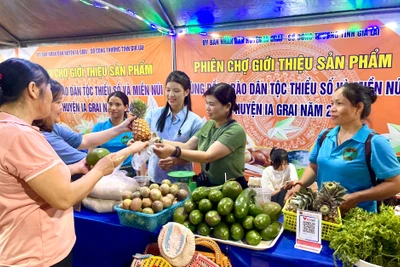 Triển khai các giải pháp kích cầu tiêu dùng, hỗ trợ sản xuất kinh doanh