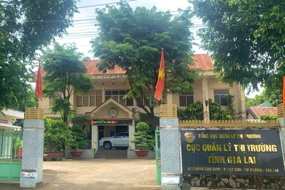  Gia Lai: Quy định chức năng, nhiệm vụ và cơ cấu tổ chức của Chi cục quản lý thị trường 