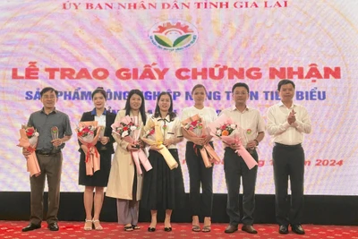 Gia Lai: Trao giấy chứng nhận sản phẩm công nghiệp nông thôn tiêu biểu năm 2024