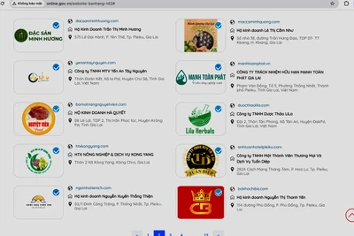 Gia Lai: 113 website thương mại điện tử bán hàng được Bộ Công thương xác nhận
