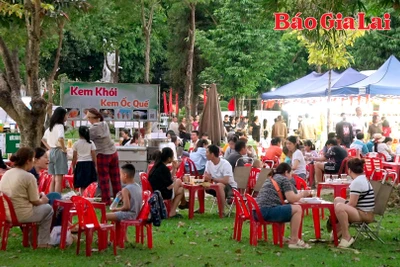 Gia Lai quảng bá văn hóa-du lịch qua Ngày hội Ẩm thực và Triển lãm ảnh