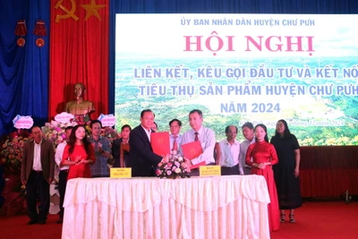 Chư Pưh: 17 nhà đầu tư ký biên bản ghi nhớ liên kết, hợp tác với tổng vốn hơn 10.800 tỷ đồng