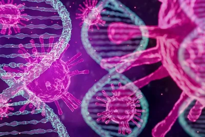 Phát hiện mới về virus bạch cầu mở ra hy vọng điều trị HIV