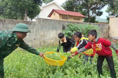 Rau xanh biên phòng nâng bước học sinh đến trường