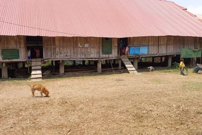  Gia Lai: Thêm một ca tử vong do bệnh dại