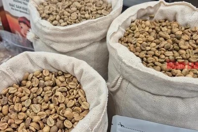 Giá cà phê hôm nay 23-4: Sụp sâu rồi phục hồi mạnh mẽ
