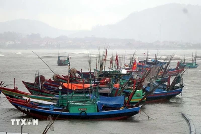 Ảnh hưởng của áp thấp, vùng biển khu vực Bắc vịnh Bắc Bộ gió giật cấp 8