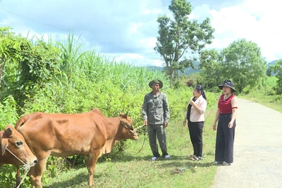 Tín dụng chính sách góp phần đẩy lùi “tín dụng đen”