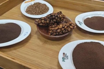 Giá cà phê hôm nay 8-4: Rớt khủng khiếp