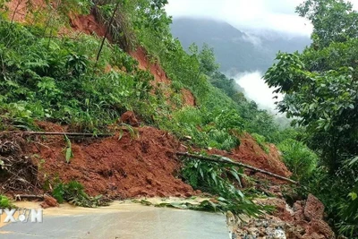 Thời tiết ngày 10/6: Các khu vực có mưa rào, Hà Giang cảnh báo có lũ quét