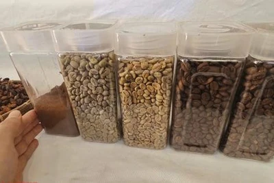 Giá cà phê hôm nay 16-4: Tăng tiếp, như chưa hề có bão thuế quan