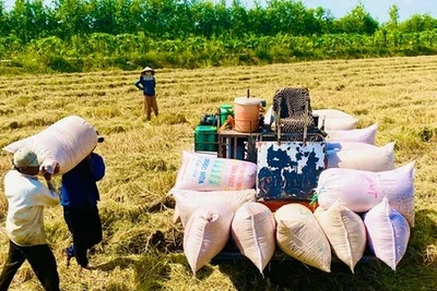 Xuất khẩu nông sản: Thoát khỏi vòng luẩn quẩn