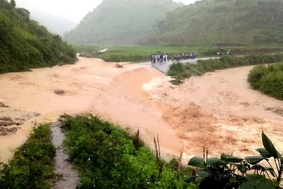 Thủ tướng Chính phủ yêu cầu chủ động ứng phó với đợt mưa lớn ở Bắc Bộ