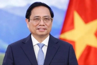 Khẳng định vai trò, đóng góp của Việt Nam vì hòa bình, hợp tác và phát triển
