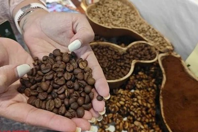 Giá cà phê tăng dựng đứng, lô hàng sang Mỹ tiếp tục