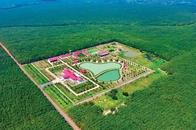 Kỳ tích cao su vươn mình trên xứ sở Angko - Kampong Thom: Kỳ 2-Thành công ngoài mong đợi