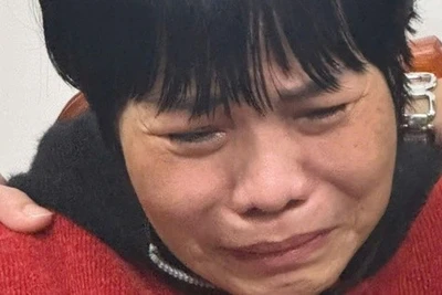 Tình mẫu tử bị 'định giá' bằng hợp đồng bảo hiểm: 'Ranh giới giữa người và thú đã bị xóa nhòa'