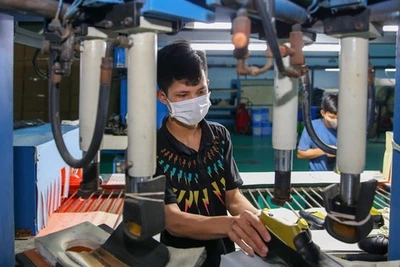 Ứng phó thuế đối ứng 46%: Tăng nội lực, hỗ trợ doanh nghiệp