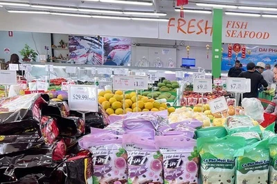 Giá cà phê hôm nay 1-5: Bật tăng, sẽ quảng bá cà phê Việt tại Úc
