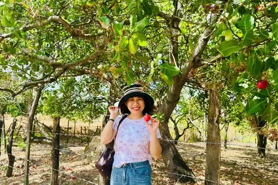 Mùa điều nơi biên viễn