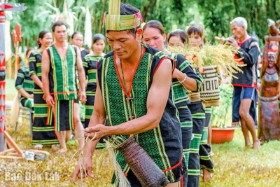 Nét đẹp trong lễ rước hồn lúa về kho