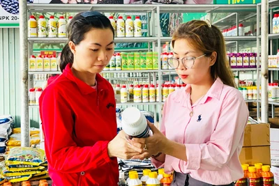 Tăng cường kiểm soát phân bón, thuốc bảo vệ thực vật