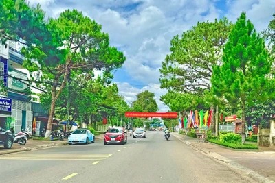 Tiễn một người qua phố