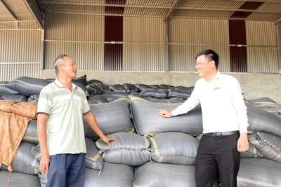 Agribank Đông Gia Lai: Ưu tiên nguồn vốn lãi suất thấp cho sản xuất kinh doanh