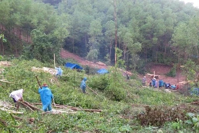 Lên rừng, xuống biển mưu sinh - Kỳ 2: Những đêm trăn trở giữa rừng sâu