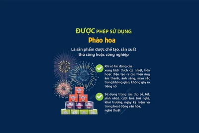 Người dân được sử dụng loại pháo nào?