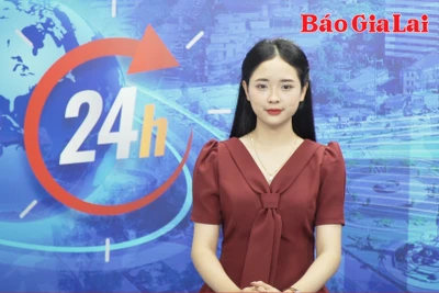 Gia Lai 24h: Gia Lai có 16 dự án đầu tư trồng rừng, tổng vốn hơn 312 tỷ đồng