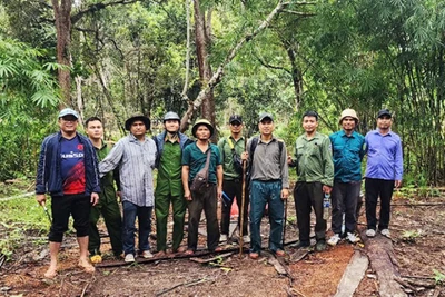 Gian nan hành trình “vén màn” tội ác