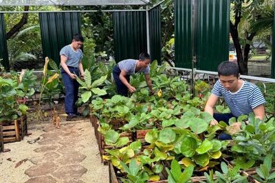 Trường Sa: Vững vàng nơi đầu sóng - Kỳ II: “Hòn ngọc” xanh giữa biển Đông