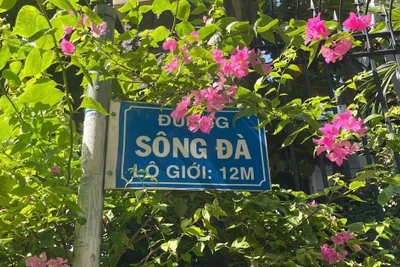 Sống ở TP.HCM: Độc lạ quận Tân Bình có nhiều con đường tên sông