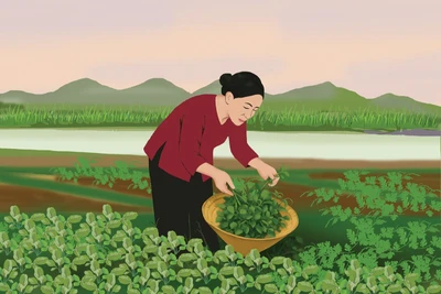 Rau dại quê nhà