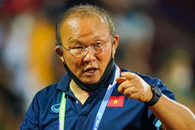HLV Park Hang-seo bất ngờ nhận trọng trách lớn: 'Phó tướng' Liên đoàn Bóng đá Hàn Quốc
