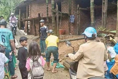 Mưa đá kéo dài 20 phút, hạt đá to hơn đầu ngón chân
