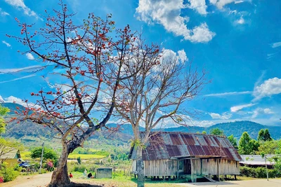 Một thoáng Hway