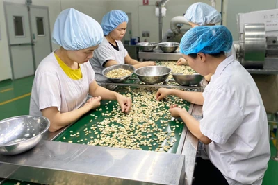 Giải bài toán nguồn nhân lực để tạo đột phá phát triển