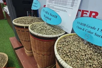 Giá cà phê hôm nay 9-4: Ba lần sụp giá
