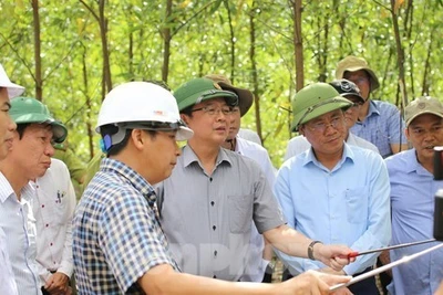 Bí thư, Chủ tịch tỉnh Bình Định khảo sát tiềm năng núi Vũng Chua