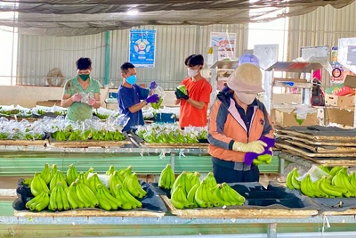 Định giá tài sản hình thành trong tương lai: Thêm “cánh cửa” tiếp cận vốn cho doanh nghiệp