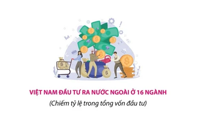 Năm 2024: Đầu tư của Việt Nam ra nước ngoài tăng 57,7%