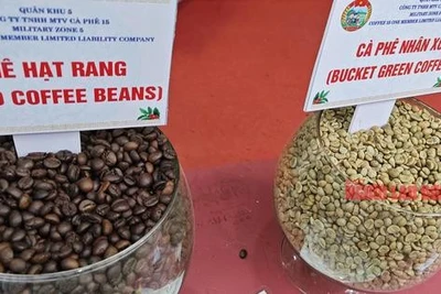 Giá cà phê hôm nay 24-4: Bất ngờ tăng mạnh