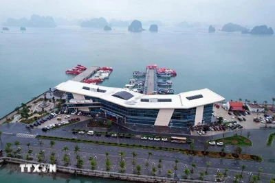 Quảng Ninh: Tạo sự khác biệt, phát huy tiềm năng du lịch vịnh Bái Tử Long