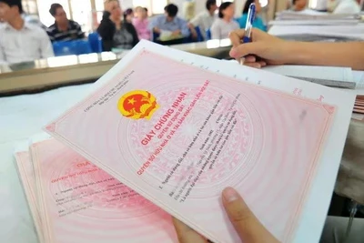 Thời quá độ của sổ đỏ