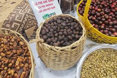 Giá cà phê hôm nay 13-4: Vượt bão thuế quan