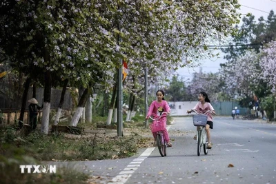 Thời tiết ngày 10/4: Bắc Bộ sáng sớm có sương mù, trưa chiểu hửng nắng