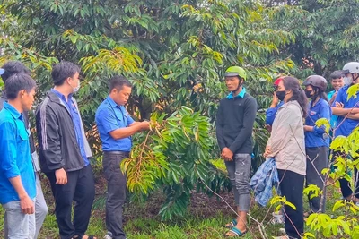 “Bệ phóng” cho khát vọng khởi nghiệp của thanh niên